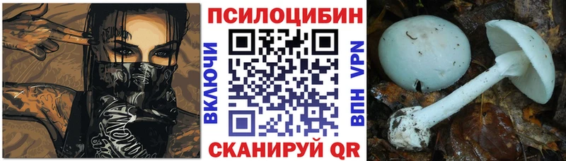 Галлюциногенные грибы Cubensis  mega как зайти  Ленинск  что такое  