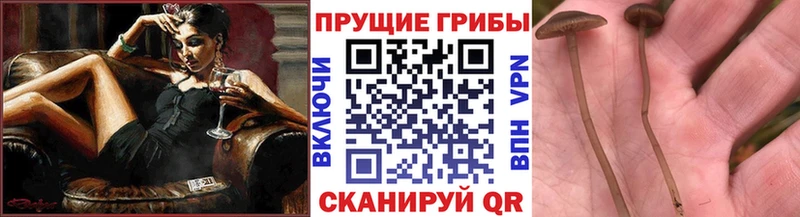 Псилоцибиновые грибы ЛСД Ленинск